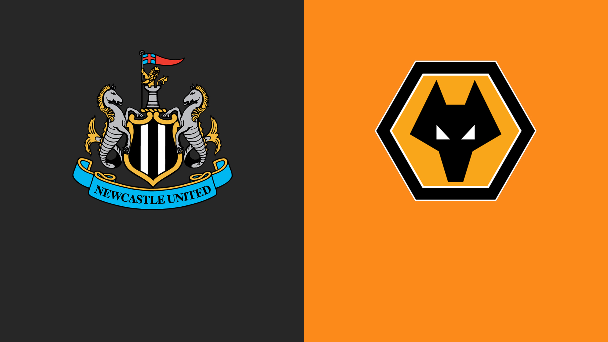 Newcastle United  vs  Wolves  Video Highlight ngày 28/02 | Xem lại trận đấu